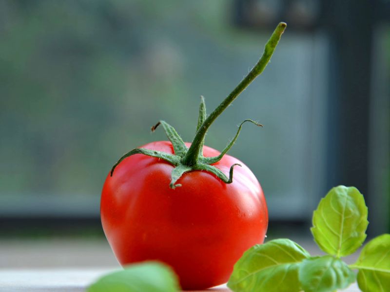 Click to enlarge image 01-tomata-olo-to-xrono.jpg