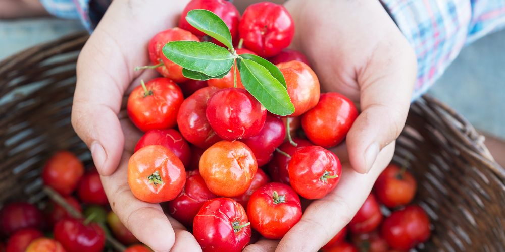 Acerola hands