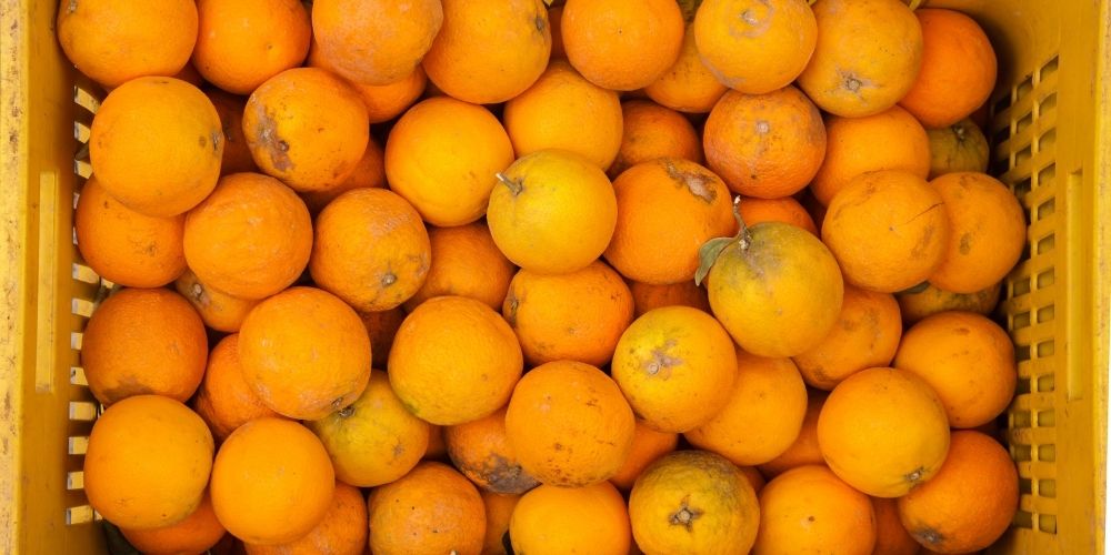 Bunch Oranges