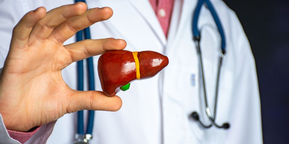 Doctor-Anatomical-Model-Liver.jpg