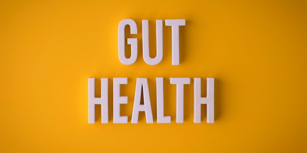 Gut-Health.jpg
