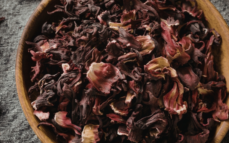 Hibiscus-5.jpg