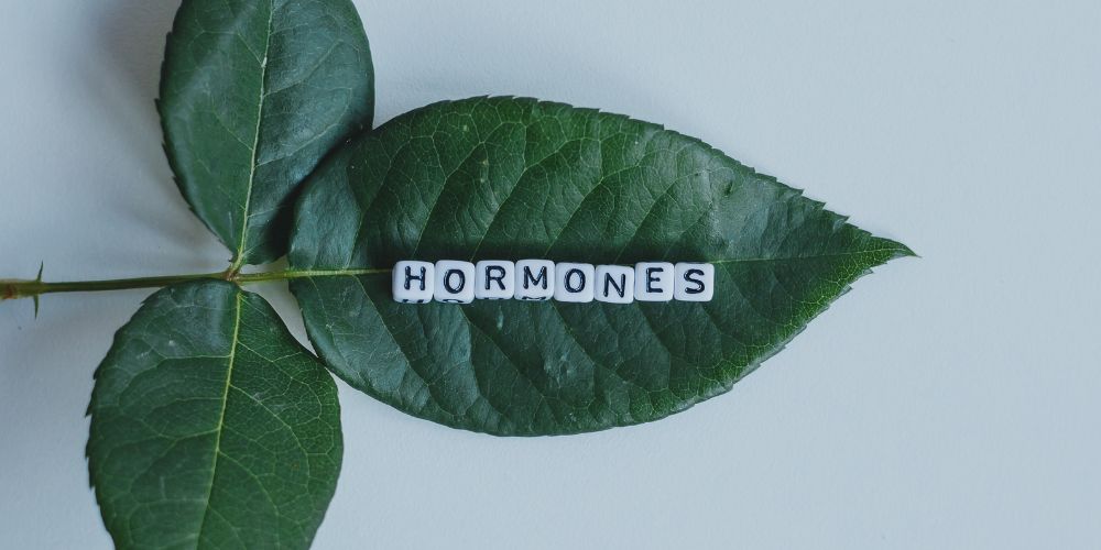 Hormone Balance