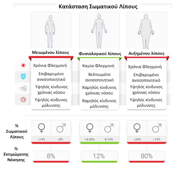 Katastasi Somatikou lipous