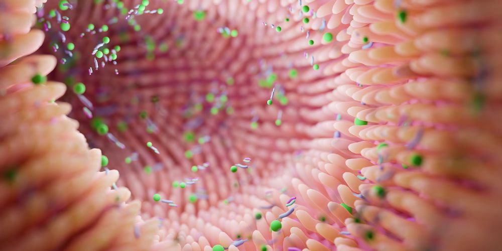 Microbiome-intestine.jpg