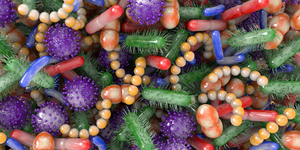 Microbiota-nutrition.jpg