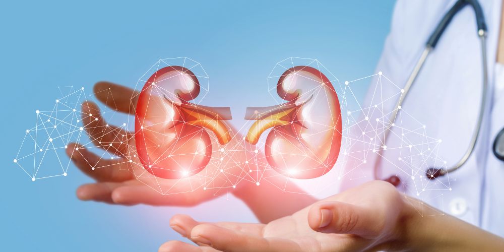 Nurse supports persons kidney