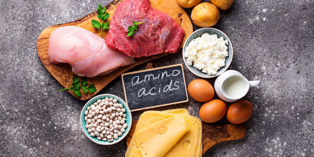 Products Rich in Amino Acids