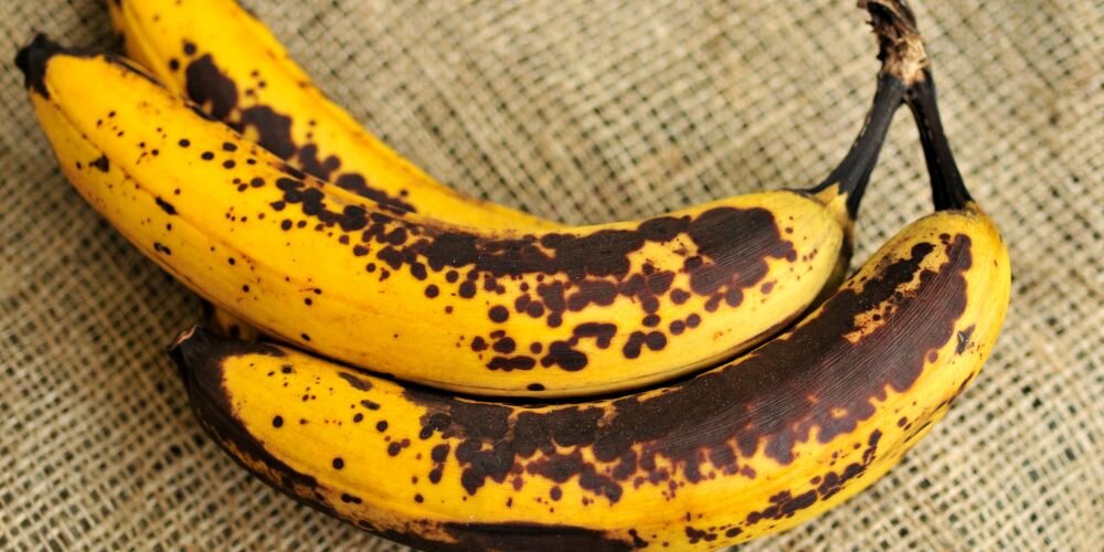 brown bananas