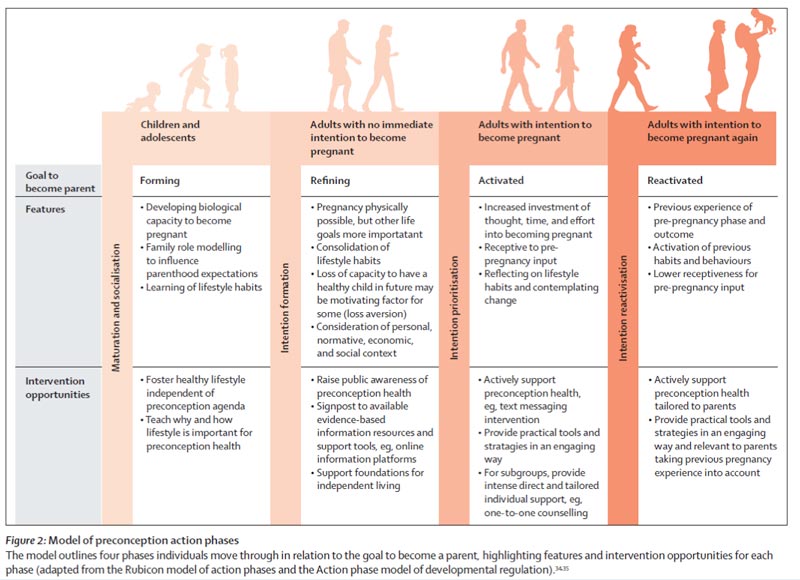 figure 2 texnikes paremvasis