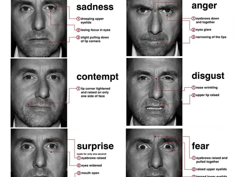 micro expression diaitologos