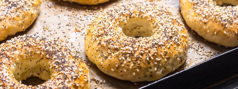 new york bagels