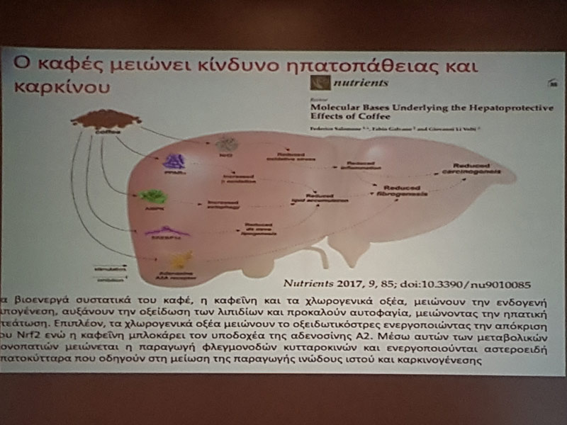 osa akoysame sto 14o panellinio synedrio diatrofis diaitologias 8