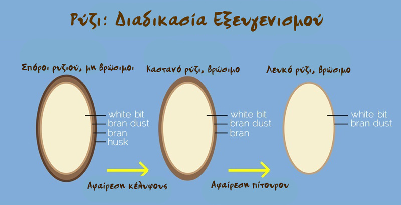 rizi diadikasia ekseugenismou