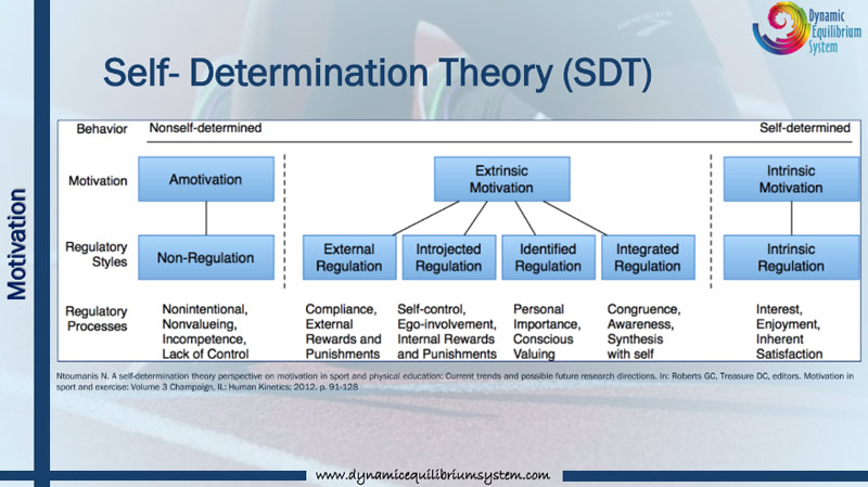 theoria self determination ston athlitismo