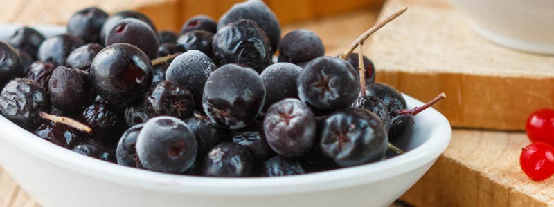 Aronia Berries