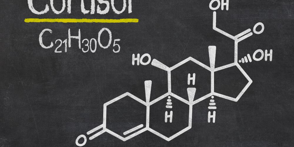 cortisol chemical type