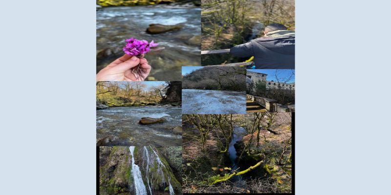 kolaz-fotografion-georgia.jpg
