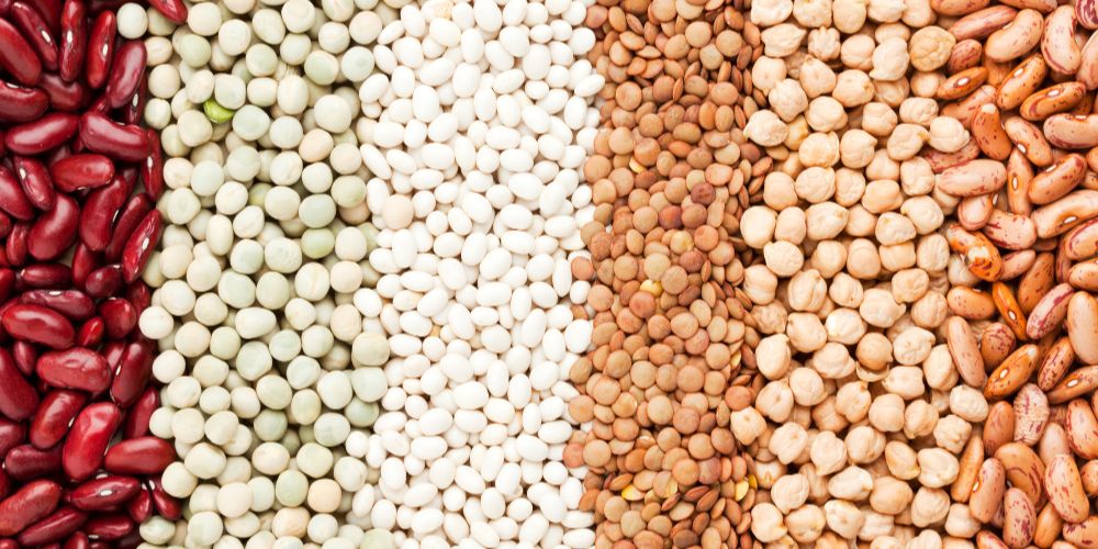 legumes osteoporosis