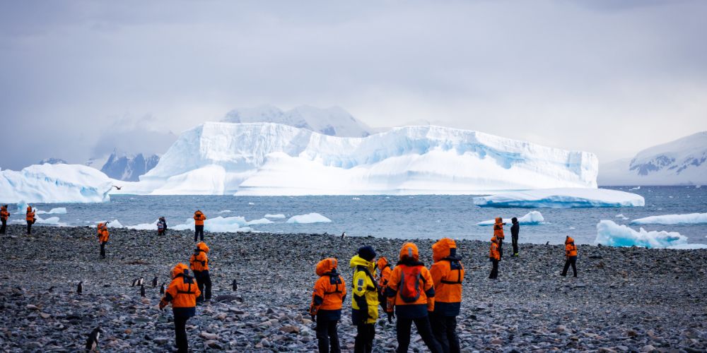 living antarctica