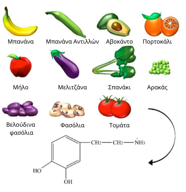 ntopamine food image