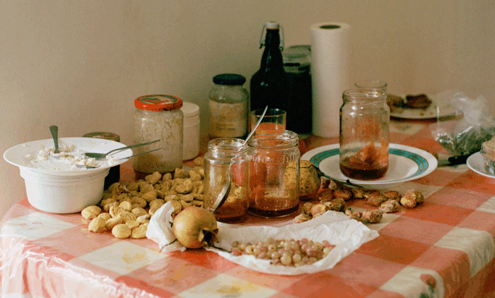 Food Print Project