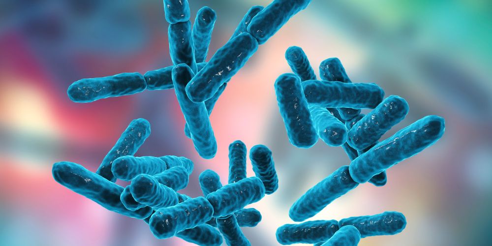 probiotics health