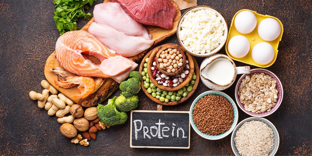protein diet 2