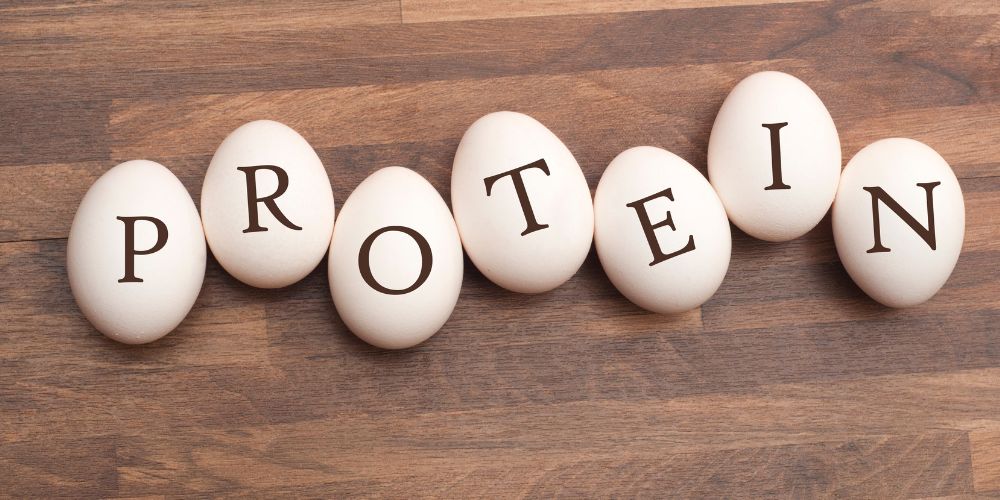 protein-eggsource.jpg