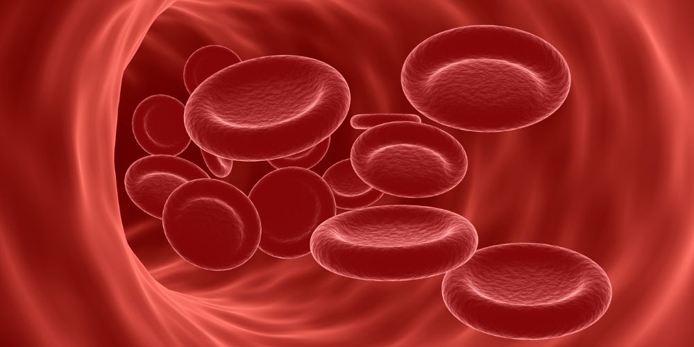 red-blood-cells-artery.jpg