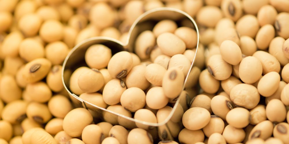 soya prostasia kardia