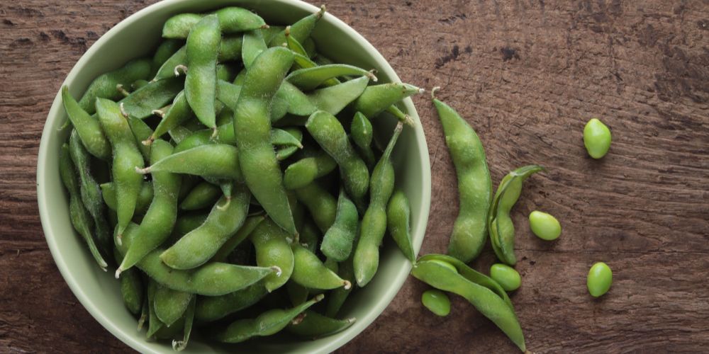 soya salad