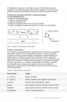 fitosteroles-kai-miwsi-xolisterolis-book