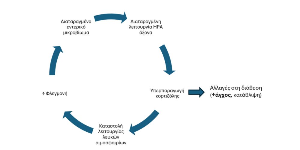 stress gastro sxediagramma