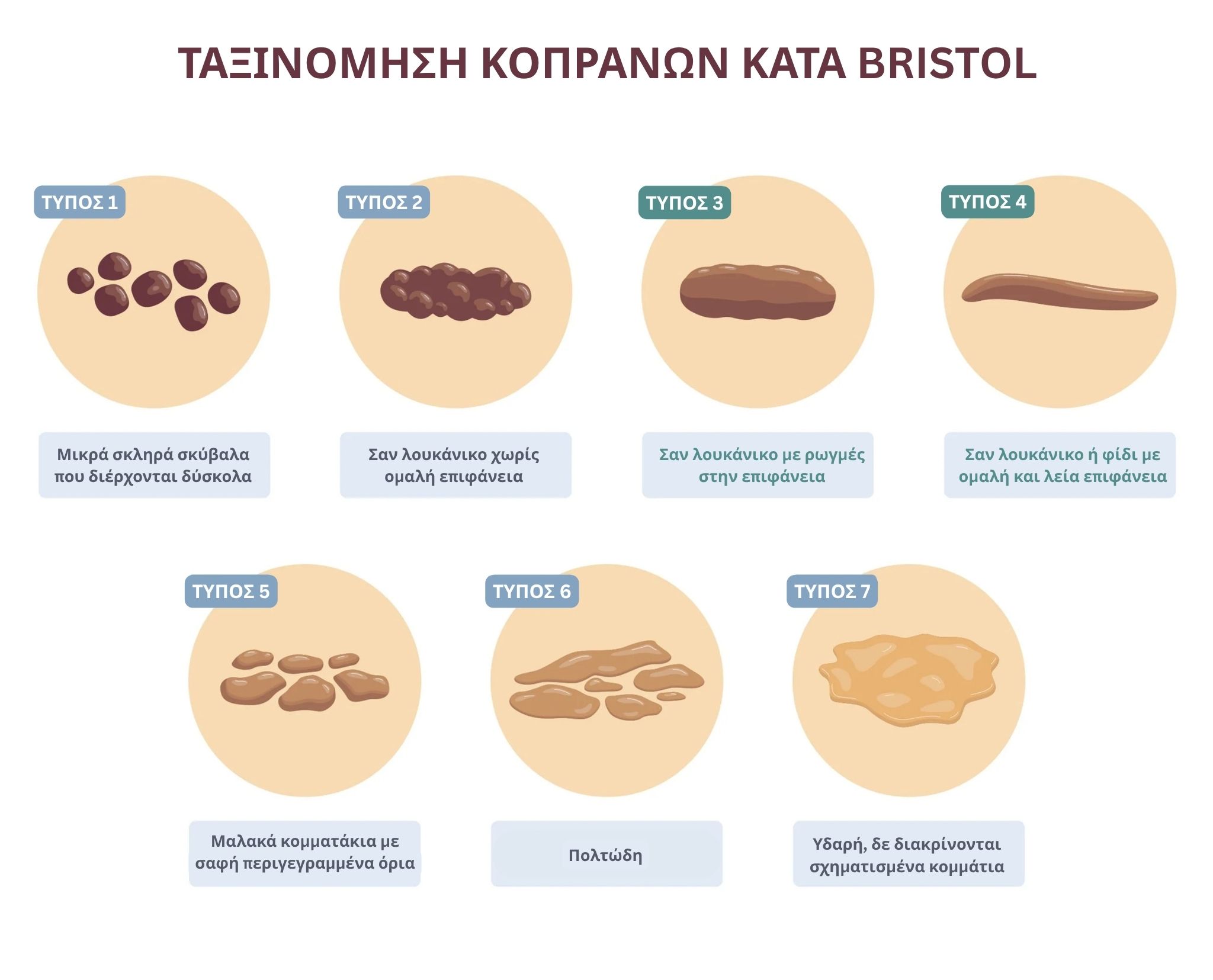 taxinomisis kopranon bristol