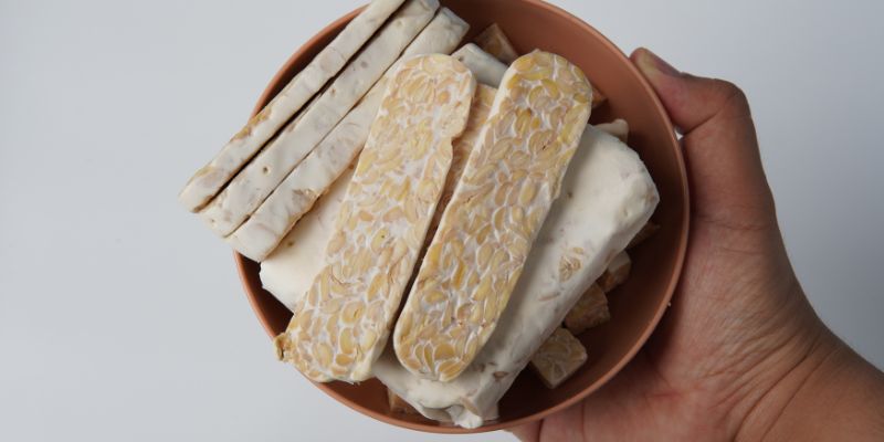 tempeh-o-vasilia-ths-zymosis.jpg