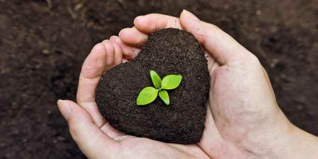 14 &sigma;&upsilon;&nu;&tau;&alpha;&gamma;έ&sigmaf; &gamma;&iota;&alpha; &beta;&iota;&omicron;&lambda;&omicron;&gamma;&iota;&kappa;ά &epsilon;&nu;&tau;&omicron;&mu;&omicron;&kappa;&tau;ό&nu;&alpha; &amp; &lambda;&iota;&pi;ά&sigma;&mu;&alpha;&tau;&alpha;