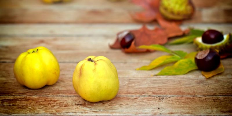 &Alpha;&upsilon;&tau;ό&nu; &tau;&omicron;&nu; &mu;ή&nu;&alpha; &alpha;&gamma;&omicron;&rho;ά&zeta;&omega; &kappa;&upsilon;&delta;ώ&nu;&iota;