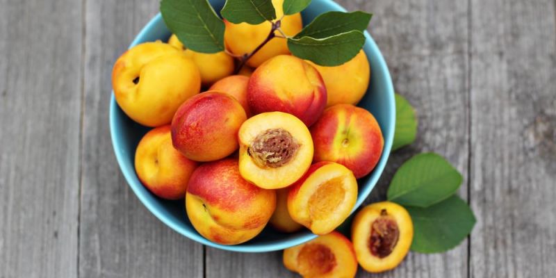 &Alpha;&upsilon;&tau;ό&nu; &tau;&omicron;&nu; &mu;ή&nu;&alpha; &alpha;&gamma;&omicron;&rho;ά&zeta;&omega; &rho;&omicron;&delta;ά&kappa;&iota;&nu;&alpha;