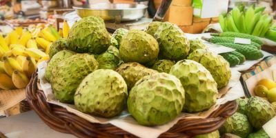 Cherimoya 