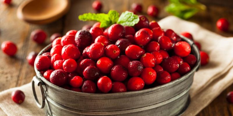 Cranberries &kappa;&alpha;&iota; &eta; &upsilon;&gamma;&epsilon;ί&alpha; &tau;&omicron;&upsilon; &omicron;&upsilon;&rho;&omicron;&pi;&omicron;&iota;&eta;&tau;&iota;&kappa;&omicron;ύ