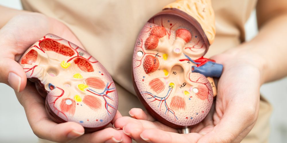 diatrofi meta apo metamosxefsi organou