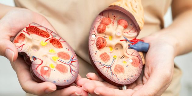 diatrofi meta apo metamosxefsi organou