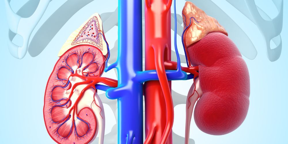 diatrofi sti xronia nefriki noso prin tin aimokatharsi