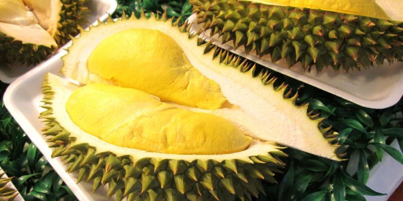 Durian fruit