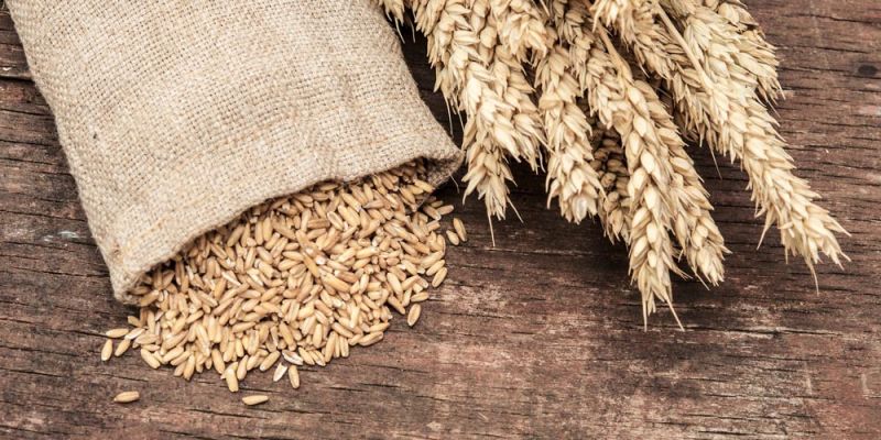 &Delta;&upsilon;&sigma;&alpha;&nu;&epsilon;&xi;ί&alpha; &sigma;&tau;&eta; &gamma;&lambda;&omicron;&upsilon;&tau;έ&nu;&eta;