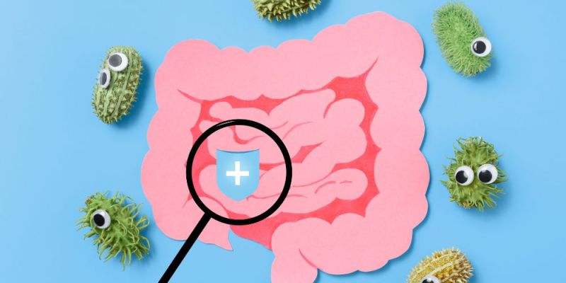 dysviosi tou enterikoy mikroviomatos