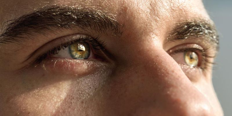 &Epsilon;&kappa;&phi;ύ&lambda;&iota;&sigma;&eta; &omega;&chi;&rho;ά&sigmaf; &kappa;&eta;&lambda;ί&delta;&alpha;&sigmaf; &kappa;&alpha;&iota; &delta;&iota;&alpha;&tau;&rho;&omicron;&phi;ή