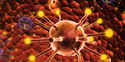 &Epsilon;&lambda;&epsilon;ύ&theta;&epsilon;&rho;&epsilon;&sigmaf; &Rho;ί&zeta;&epsilon;&sigmaf;