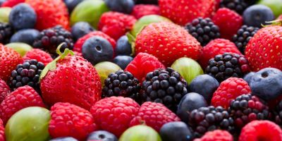 &Alpha;&nu;&tau;&iota;&omicron;&xi;&epsilon;&iota;&delta;&omega;&tau;&iota;&kappa;ά